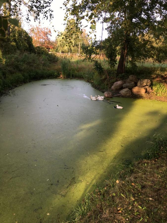 Siedlisko Nasza Chata Popiolki Exterior foto